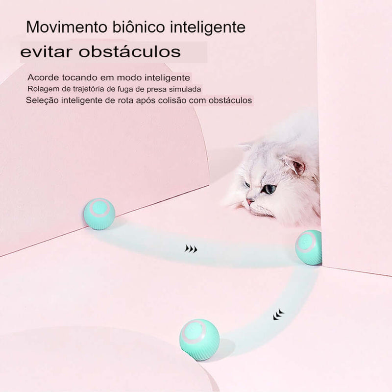 Bola de gato inteligente